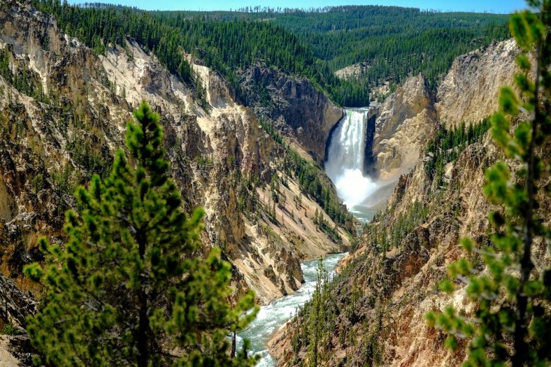 Menjelajahi Taman Nasional Yellowstone Wyoming Aktivitas Dan Tips